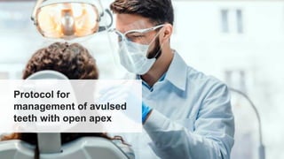 Protocol for
management of avulsed
teeth with open apex
 
