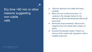 Dry time >60 min or other
reasons suggesting
non-viable
cells
● Remove attached non-viable soft tissue
carefully
● When the root is dried more than 1 hr
,soaking in the storage medium is not
effective as almost all periodontal cells would
have dried
● Administer local anesthesia. Remove the
coagulum from the socket with a stream of
saline.
● Examine the alveolar socket. If there is a
fracture of the socket wall, reposition it with a
suitable instrument.
 
