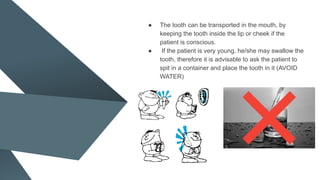 ● The tooth can be transported in the mouth, by
keeping the tooth inside the lip or cheek if the
patient is conscious.
● If the patient is very young, he/she may swallow the
tooth, therefore it is advisable to ask the patient to
spit in a container and place the tooth in it (AVOID
WATER)
 