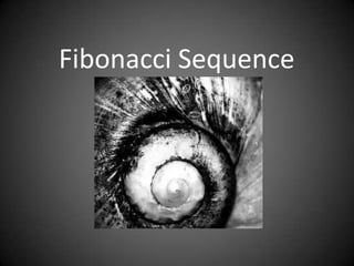Fibonacci Sequence

 