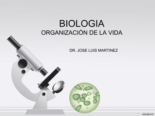 BIOLOGIA
ORGANIZACIÓN DE LA VIDA
DR. JOSE LUIS MARTINEZ
 
