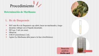 Procedimiento
1. Rx de Duquenois
● M.P. más Rvo de Duquenois csp cubrir, hacer un machacado y luego
decantar, trabajar con el líquido decantado.
● HCl q.p. 2 mL (en zona).
● Observar.
● CHCl3 (cloroformo) 2 mL.
● Agitar (La Marihuana debe pasar a la fase clorofórmica).
Determinación de Marihuana
Reacción
positiva:
Anillo azul
 
