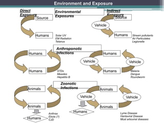 Anthroponotic
Infections
Zoonotic
Infections
Direct
Exposure
Indirect
Exposure
Environmental
Exposures
Vehicle
Humans
Source
Stream pollutants
Air Particulates
Legionella
Humans
Humans STDs
Measles
Hepatitis B
Vehicle
Humans
Humans
Vehicle
Malaria
Dengue
Roundworm
Vehicle Vehicle
Animals
Animals
Humans Lyme Disease
Hantaviral Disease
Most arboviral diseases
Animals
Animals
Humans
Anthrax
Ebola (?)
CJD
Environment and Exposure
Source
Humans Solar UV
EM Radiation
Tetanus
 