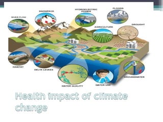 Climate Change and its Impact on Health | PPT