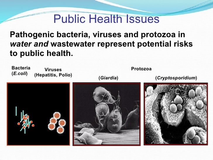 Waterrelated diseases