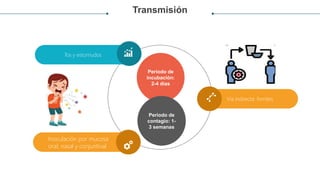 Transmisión
Periodo de
incubación:
2-4 dias
Via indirecta: fomites
Tos y estornudos
Inoculación por mucosa
oral, nasal y conjuntival
Periodo de
contagio: 1-
3 semanas
 