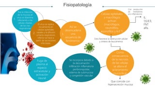 Fisiopatología
Tras la infección
de la mucosa el
virus se disemina
infectando a las
células ciliadas
de las vías
respiratorias
Fuga de
plasma al
espacio
extracelular y
activación
neural
Se incorpora debido a
la descamación
infiltración inflamatoria
peribronquiolar,
edema de submucosa
y congestión vascular
El virus se replica
inicialmente en
células epiteliales
nasales y la difusión
a tracto respiratorio
inferior se hace a
partir de secreciones
infectadas.
Celulas epiteliales
y macrófagos
activan
(macrófagos,
neutrófilos,
eosinofilos y linf T)
Así se
desencadena
una
secuencia de
fenómenos:
Como
consecuencia
de la necrosis
de las células
se altera el
aclaramiento
mucocilicar
.
Con producción
de mediadores
pro-inflamatorios
IL:
1,6,8,9,
FNT
alfa.
Esto favorece la destrucción celular
y síntesis de leucotrienos
Que coincide con
hipersecreción mucosa
1.
2. 3.
 