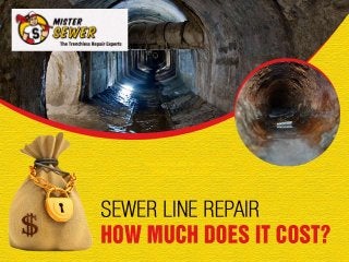 Sewer Line Repair – How 
Much Does it Cost? 
 