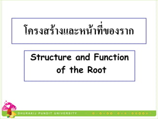 โครงสรางและหนาที่ของราก
 Structure and Function
       of the Root
 