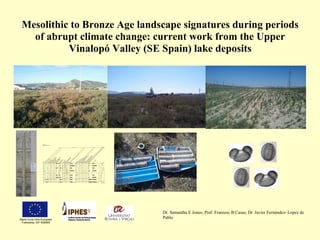 Mesolithic to Bronze Age landscape signatures during periods
of abrupt climate change: current work from the Upper
Vinalopó Valley (SE Spain) lake deposits
Marie-Curie Intra-European
Fellowship: IEF-628589
Dr. Samantha E Jones; Prof. Fransesc B Casas; Dr. Javier Fernández- Lopez de
Pablo
50
100
150
200
250
300
350
400
Depth
D
ecora
te
d
fo
re
stty
pes
20
Facet
ate
Fore
stty
pes
Sedge
pattern
ed
&
w
ithoutapic
es
Sedge
bulli
fo
rm
s
w
ith
hor
ns?
G
ra
ss
bullifo
rm
ssm
ooth
to
p
Pooid
eae
bilo
ba
te
s
H
atbi
lo
bate
s
Tw
o
poi
ntbi
llo
bat
ed
(s
m
oot
h)
Sm
ooth
to
p
bilo
ba
te
s
20
Recta
ngle
bilo
ba
te
s
Square
bilo
bate
s
20
Long
ce
lls
cle
ar
Long
cells
dark
Papill
aeEpid
er
m
al
ce
lls
w
avy
(thick)
Epid
erm
alstra
ig
ht(w
id
e)
Trichom
e
Arr
owArrow
ty
pe
butsm
oot
he
rto
p
and
1
si
de
lo
nger
20 40 60
C
ube
CuboidG
eom
etric
tr
ia
ng
le
U
nknow
n
2
ovalsh
ape
s
U
nknow
n
3
pla
ntshapes
epid
erm
a
lty
pes
lo
sts
ofci
rc
le
s
unlin
earsm
all
U
nknow
n
cle
arshapes
geo
m
etric
epid
erm
alce
lls
sm
all
cicle
s
non
linear
Bilo
bate
s
oth
er
D
ia
to
m
s
Epid
erm
alcells
la
rg
e
circle
s
unlin
ear
Epid
erm
alcel
ls
la
rg
e
circl
es
lin
ear
Sta
rsh
aped
phyt
olit
h
Snail
sh
ells
20 40
Charc
oaland
burn
tphyto
lit
hs
100 200 300
Tota
lP
hyto
lit
hs
Zon e
Zone 1
Zone 2
Zone 3
Forest Sedge and Grass Unidentified
Snails
Burnt
Casa Corona
Preliminary Phytolith results
0,2 0,4 0,6 0,8 1,0 1,2
Total sum o f squares
CONISS
 