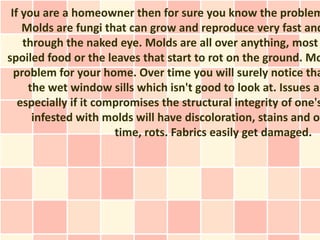 If you are a homeowner then for sure you know the problem
    Molds are fungi that can grow and reproduce very fast and
    through the naked eye. Molds are all over anything, most
spoiled food or the leaves that start to rot on the ground. Mo
  problem for your home. Over time you will surely notice tha
     the wet window sills which isn't good to look at. Issues ar
   especially if it compromises the structural integrity of one's
      infested with molds will have discoloration, stains and ov
                       time, rots. Fabrics easily get damaged.
 