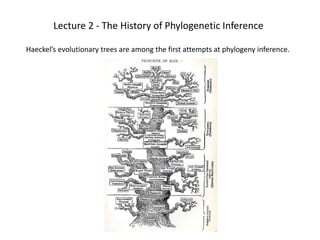 Lecture 2 - The History of Phylogenetic Inference
Haeckel’s evolutionary trees are among the first attempts at phylogeny inference.
 