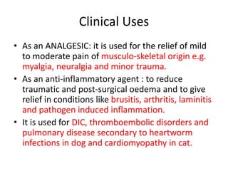 Anti Pyretic Drugs | PPTX