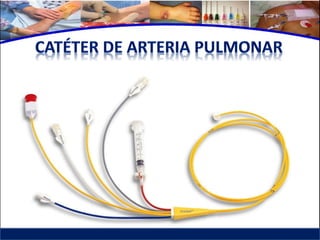 Cuidados de enfermería en accesos venosos - CICAT-SALUD