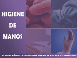 EFECTO DE AGENTES ANTISEPTICOS PARA
         FROTADO DE MANOS
   El agente para Higiene de Manos debe:

    Contener     ...