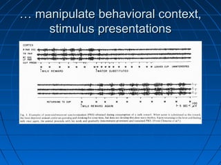 …… manipulate behavioral context,manipulate behavioral context,
stimulus presentationsstimulus presentations
 