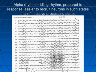 Alpha rhythm = idling rhythm, prepared toAlpha rhythm = idling rhythm, prepared to
response, easier to recruit neurons in such statesresponse, easier to recruit neurons in such states
than if in active processing statesthan if in active processing states
 