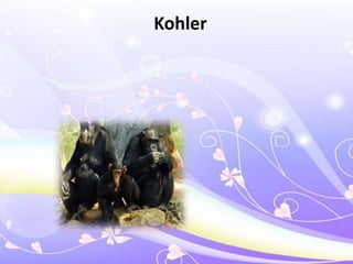 Kohler
 