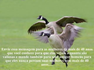 Envie essa mensagem para as mulheres de mais de 40 anos que você conhece para que elas vejam o quanto são valiosas e mande também para seus amigos homens para que eles nunca percam suas mulheres com mais de 40 anos …. 