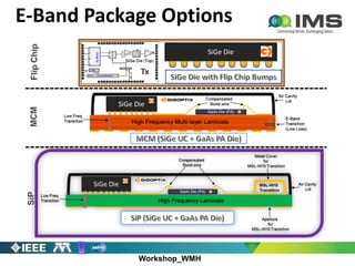 Workshop_WMH
E-Band Package Options
 