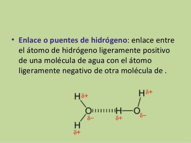 Factores de crecimiento de las plantas