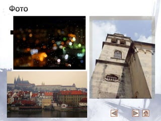 Натюрморты
 