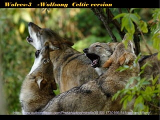 Wolves-3 -Wolfsong Celtic version




  http://www.authorstream.com/Presentation/mireille30100-1730166-548-wolves-tiffany/
 