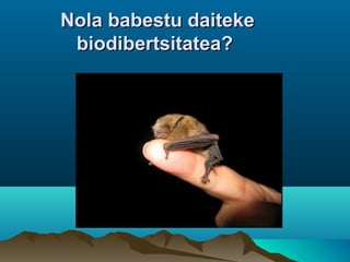 Nola babestu daitekeNola babestu daiteke
biodibertsitatea?biodibertsitatea?
 