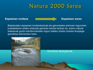 Espazioen sareaEspazioen multzoa
Babestutako espazioen kontserbazioak eta gainontzeko eremuen ingurumen
kudeaketaren arteko erlazioak garrantzi handia hartzen du, eremu natural
babestuak guztiz transformatutako inguru bateko uharte moduko ikuspegia
gainditzea baimentzen baitu.
Natura 2000 SareaNatura 2000 Sarea
Korridore ekologikoak
 