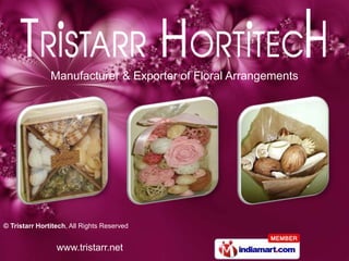 Manufacturer & Exporter of Floral Arrangements




© Tristarr Hortitech, All Rights Reserved


                 www.tristarr.net
 