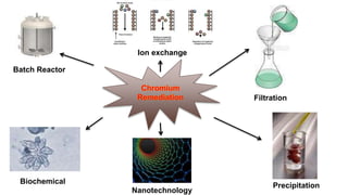 Batch Reactor
Biochemical
Nanotechnology
Precipitation
Filtration
Ion exchange
 