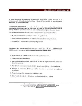 Leadership assessment - CDG | PDF