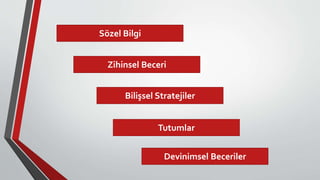 Sözel Bilgi
Zihinsel Beceri
Bilişsel Stratejiler
Tutumlar
Devinimsel Beceriler
 