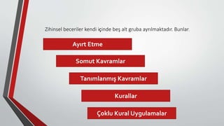 Zihinsel beceriler kendi içinde beş alt gruba ayrılmaktadır. Bunlar;
Ayırt Etme
Somut Kavramlar
Tanımlanmış Kavramlar
Kurallar
Çoklu Kural Uygulamalar
 