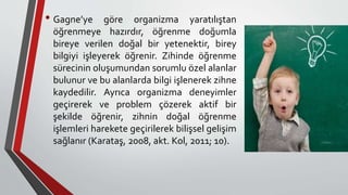 • Gagne’ye göre organizma yaratılıştan
öğrenmeye hazırdır, öğrenme doğumla
bireye verilen doğal bir yetenektir, birey
bilgiyi işleyerek öğrenir. Zihinde öğrenme
sürecinin oluşumundan sorumlu özel alanlar
bulunur ve bu alanlarda bilgi işlenerek zihne
kaydedilir. Ayrıca organizma deneyimler
geçirerek ve problem çözerek aktif bir
şekilde öğrenir, zihnin doğal öğrenme
işlemleri harekete geçirilerek bilişsel gelişim
sağlanır (Karataş, 2008, akt. Kol, 2011; 10).
 
