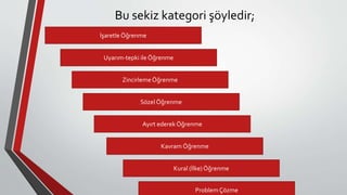 Bu sekiz kategori şöyledir;
Uyarım-tepki ile Öğrenme
Ayırt ederek Öğrenme
Kavram Öğrenme
Sözel Öğrenme
İşaretle Öğrenme
ZincirlemeÖğrenme
Kural (İlke) Öğrenme
Problem Çözme
 