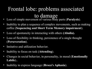 Frontal lobe: problems associated
to damage• Loss of simple movement of various body parts (Paralysis).
• Inability to plan a sequence of complex movements, such as making
coffee (Sequencing and Short Term Memory impairment).
• Loss of spontaneity in interacting with others (Abulia).
• Loss of flexibility in thinking, persistence of a single thought
(Perseveration).
• Imitative and utilization behavior.
• Inability to focus on task (Attending).
• Changes in social behavior, in personality, in mood (Emotionally
Labile)..
• Inability to express language (Broca's Aphasia).
 