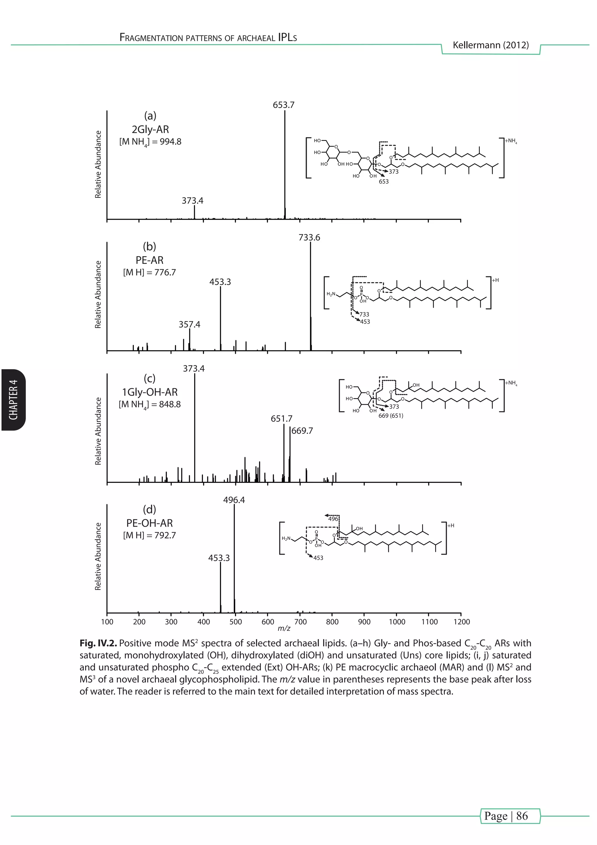Page | 86
Fragmentation patterns of archaeal IPLs
Kellermann (2012)
CHAPTER4
653
373
RelativeAbundance
(a)
2Gly-AR
[M NH4
] = 994.8
653.7
373.4
O O
OO
OHHO
HO
O
O
OHHO
HO
HO +NH4
733
+H
RelativeAbundance
(b)
PE-AR
[M H] = 776.7
733.6
453.3
357.4
O O
O
P
O
O
OH
H2N
453
RelativeAbundance
(c)
1Gly-OH-AR
[M NH4
] = 848.8
373.4
651.7
669.7
O O
OO
OHHO
HO
HO OH
669 (651)
373
+NH4
+H
RelativeAbundance
(d)
PE-OH-AR
[M H] = 792.7
496.4
453.3
O O
O
P
O
O
OH
H2N
OH
496
453
200100 300 400 500 600 700
m/z
800 900 1000 12001100
Fig. IV.2. Positive mode MS2
spectra of selected archaeal lipids. (a–h) Gly- and Phos-based C20
-C20
ARs with
saturated, monohydroxylated (OH), dihydroxylated (diOH) and unsaturated (Uns) core lipids; (i, j) saturated
and unsaturated phospho C20
-C25
extended (Ext) OH-ARs; (k) PE macrocyclic archaeol (MAR) and (l) MS2
and
MS3
of a novel archaeal glycophospholipid. The m/z value in parentheses represents the base peak after loss
of water. The reader is referred to the main text for detailed interpretation of mass spectra.
 
