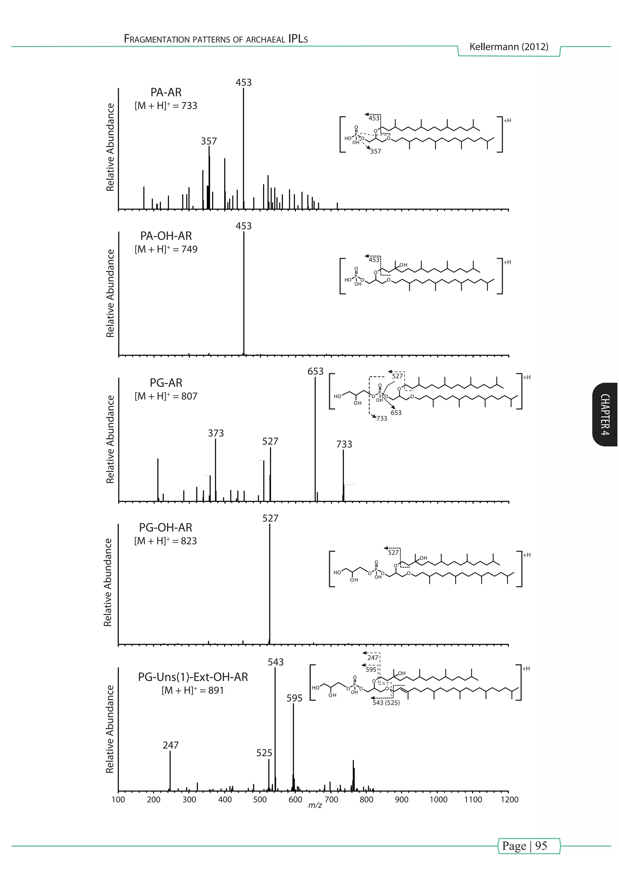 Page | 95
Fragmentation patterns of archaeal IPLs
Kellermann (2012)
CHAPTER4
RelativeAbundance
PA-OH-AR
[M + H]+
= 749
453
RelativeAbundance
PA-AR
[M + H]+
= 733
453
357
+H453
+H
+H
+H
453
357
733
653
527
RelativeAbundance
PG-AR
[M + H]+
= 807
733
653
527
373
O O
O
P
HO
O
OH
O O
O
P
HO
O
OH
OH
O O
O
P
O
O
OH
HO
OH
527
RelativeAbundance
PG-OH-AR
[M + H]+
= 823
527
O O
O
P
O
O
OH
OH
HO
OH
RelativeAbundance
PG-Uns(1)-Ext-OH-AR
[M + H]+
= 891
595
543
525
247
+H
O O
O
P
O
O
OH
OH
HO
OH
247
595
543 (525)
200100 300 400 500 600 700
m/z
800 900 1000 12001100
 