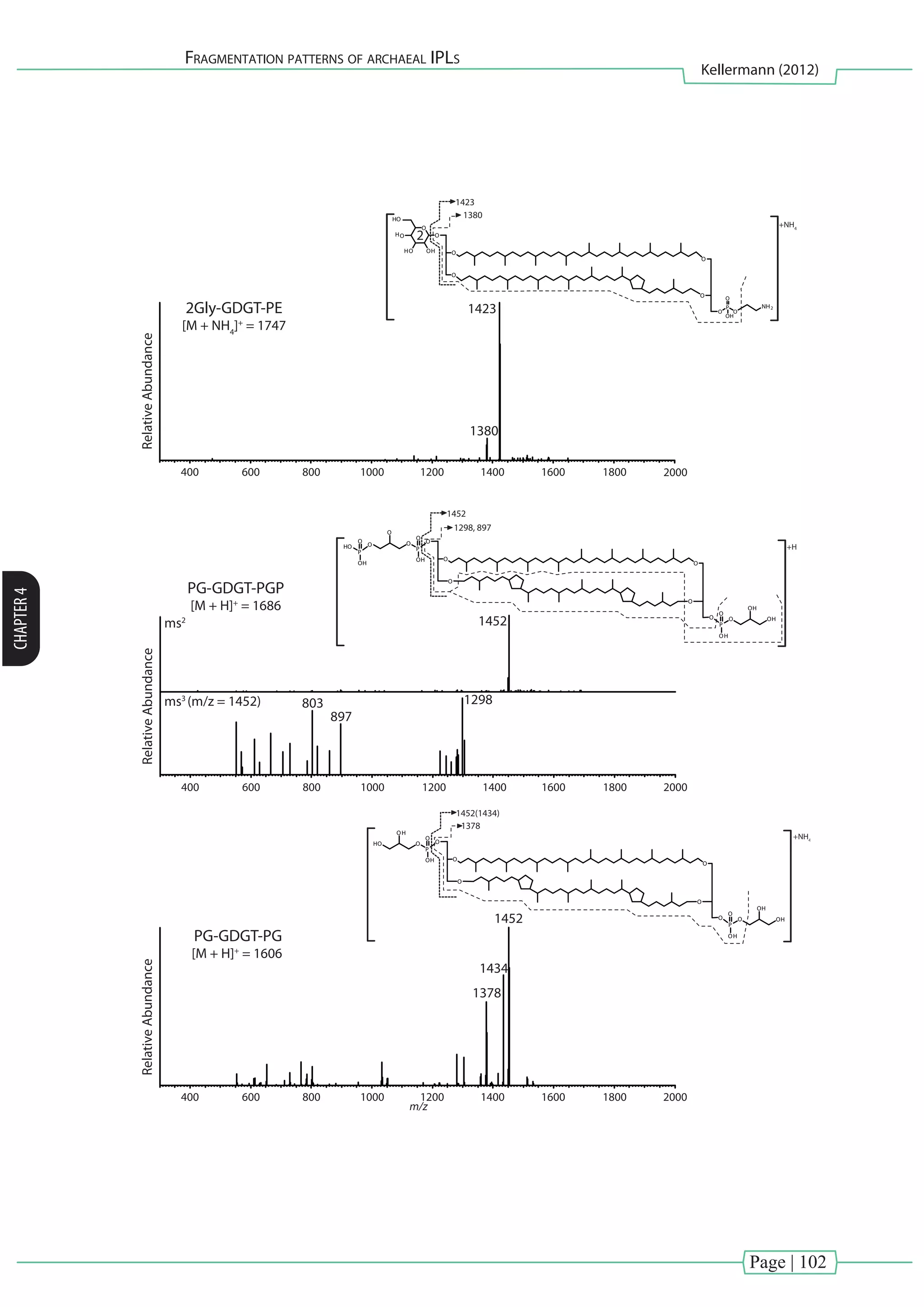 Page | 102
Fragmentation patterns of archaeal IPLs
Kellermann (2012)
CHAPTER4
400 600 800 1000 1200 1400 1600 1800 2000
m/z
400 600 800 1000 1200 1400 1600 1800 2000
RelativeAbundance
PG-GDGT-PG
[M + H]+
= 1606
1452
1378
1434
O
O
O
O
O
P
O
OH
O
OH
OH
O
P
O
OH
O
HO
OH
O
O
O
O
O
P
O
OH
O
OH
OH
O
P
O
OH
O
O
O
P
HO
OH
O
400 600 800 1000 1200 1400 1600 1800 2000
RelativeAbundance
PG-GDGT-PGP
[M + H]+
= 1686
1452
1298
897
803
ms2
ms3
(m/z = 1452)
2
RelativeAbundance
2Gly-GDGT-PE
[M + NH4
]+
= 1747
1423
1380
O
O
O
O
O
HO OH
O
O
O
P
O
O
OH
NH2
H
HO
1452
1452(1434)
1378
1298, 897
1423
1380
+NH4
+NH4
+H
 