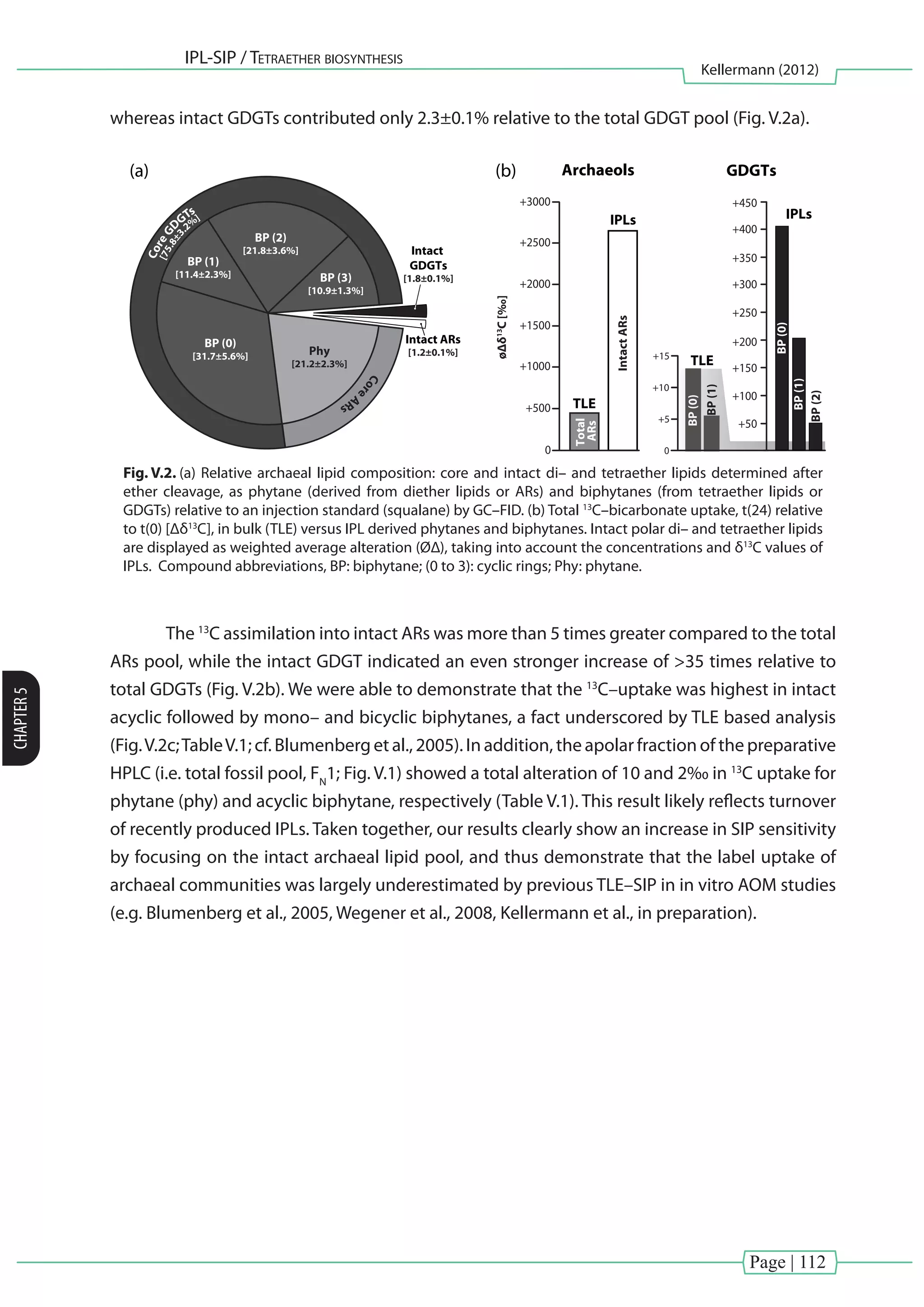 Page | 112
IPL-SIP / Tetraether biosynthesis
Kellermann (2012)
CHAPTER5
whereas intact GDGTs contributed only 2.3±0.1% relative to the total GDGT pool (Fig. V.2a).
Phy
[21.2±2.3%]
Intact ARs
[1.2±0.1%]
Intact
GDGTs
[1.8±0.1%]
BP (0)
[31.7±5.6%]
BP (1)
[11.4±2.3%]
BP (2)
[21.8±3.6%]
BP (3)
[10.9±1.3%]
(a) (b) Archaeols GDGTs
+500
+1000
+1500
+2000
+2500
+3000
0
IPLsIPLs
TLE
+200
+150
+100
+50
+250
+300
+350
+400
+450
TLE
0
+10
+15
+5
BP(0)
BP(1)
Total
ARs
IntactARs
BP(0)
BP(1)
BP(2)
CoreG
DGTs
Core
ARs
[75.8±3.
2%
]
øΔδ13
C[‰]
Fig. V.2. (a) Relative archaeal lipid composition: core and intact di– and tetraether lipids determined after
ether cleavage, as phytane (derived from diether lipids or ARs) and biphytanes (from tetraether lipids or
GDGTs) relative to an injection standard (squalane) by GC–FID. (b) Total 13
C–bicarbonate uptake, t(24) relative
to t(0) [Δδ13
C], in bulk (TLE) versus IPL derived phytanes and biphytanes. Intact polar di– and tetraether lipids
are displayed as weighted average alteration (ØΔ), taking into account the concentrations and δ13
C values of
IPLs. Compound abbreviations, BP: biphytane; (0 to 3): cyclic rings; Phy: phytane.
	 The 13
C assimilation into intact ARs was more than 5 times greater compared to the total
ARs pool, while the intact GDGT indicated an even stronger increase of >35 times relative to
total GDGTs (Fig. V.2b). We were able to demonstrate that the 13
C–uptake was highest in intact
acyclic followed by mono– and bicyclic biphytanes, a fact underscored by TLE based analysis
(Fig.V.2c;TableV.1; cf. Blumenberg et al., 2005). In addition, the apolar fraction of the preparative
HPLC (i.e. total fossil pool, FN
1; Fig. V.1) showed a total alteration of 10 and 2‰ in 13
C uptake for
phytane (phy) and acyclic biphytane, respectively (Table V.1). This result likely reflects turnover
of recently produced IPLs. Taken together, our results clearly show an increase in SIP sensitivity
by focusing on the intact archaeal lipid pool, and thus demonstrate that the label uptake of
archaeal communities was largely underestimated by previous TLE–SIP in in vitro AOM studies
(e.g. Blumenberg et al., 2005, Wegener et al., 2008, Kellermann et al., in preparation).
 