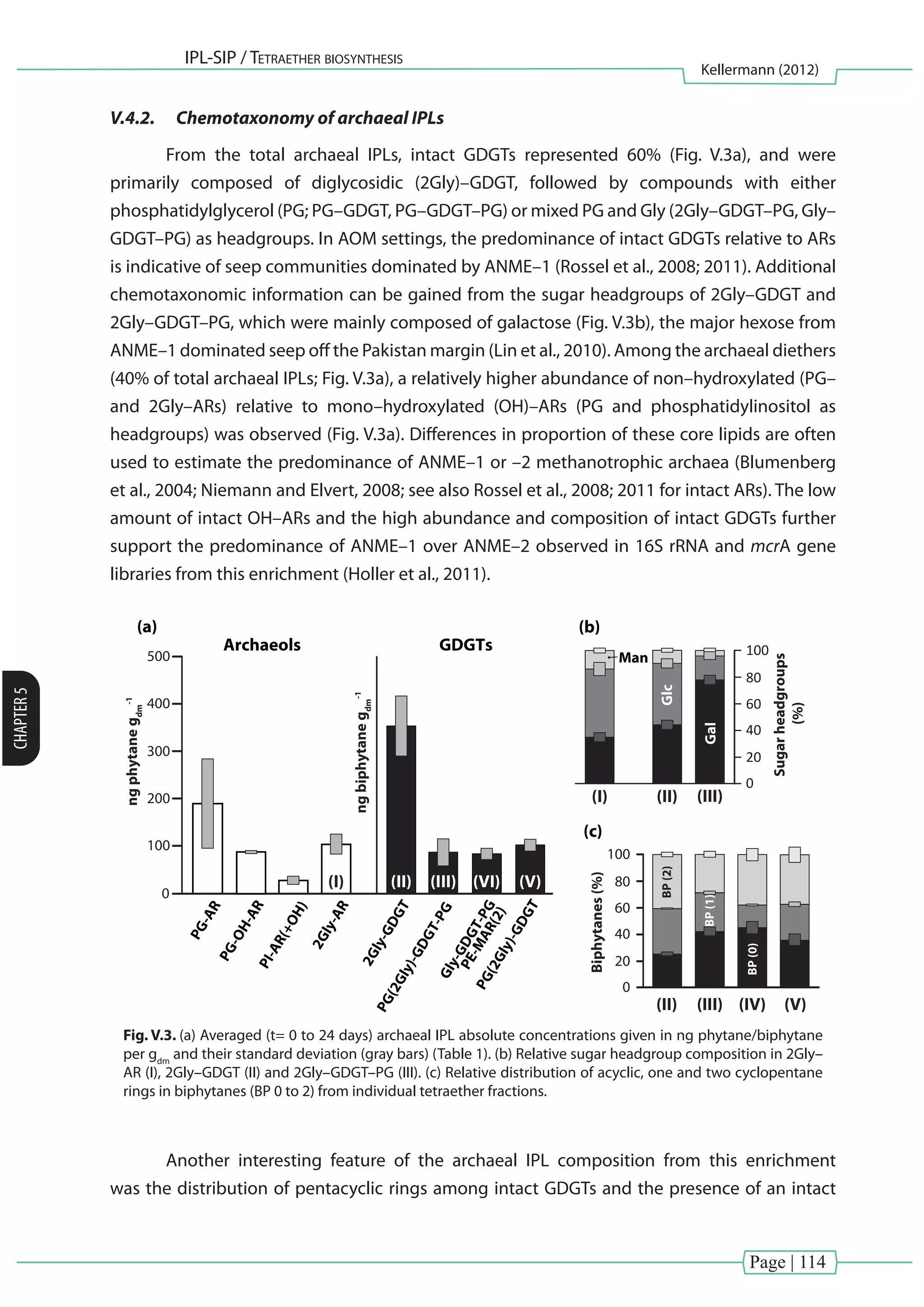 Page | 114
IPL-SIP / Tetraether biosynthesis
Kellermann (2012)
CHAPTER5
V.4.2.	 Chemotaxonomy of archaeal IPLs
	 From the total archaeal IPLs, intact GDGTs represented 60% (Fig. V.3a), and were
primarily composed of diglycosidic (2Gly)–GDGT, followed by compounds with either
phosphatidylglycerol (PG; PG–GDGT, PG–GDGT–PG) or mixed PG and Gly (2Gly–GDGT–PG, Gly–
GDGT–PG) as headgroups. In AOM settings, the predominance of intact GDGTs relative to ARs
is indicative of seep communities dominated by ANME–1 (Rossel et al., 2008; 2011). Additional
chemotaxonomic information can be gained from the sugar headgroups of 2Gly–GDGT and
2Gly–GDGT–PG, which were mainly composed of galactose (Fig. V.3b), the major hexose from
ANME–1 dominated seep off the Pakistan margin (Lin et al., 2010). Among the archaeal diethers
(40% of total archaeal IPLs; Fig. V.3a), a relatively higher abundance of non–hydroxylated (PG–
and 2Gly–ARs) relative to mono–hydroxylated (OH)–ARs (PG and phosphatidylinositol as
headgroups) was observed (Fig. V.3a). Differences in proportion of these core lipids are often
used to estimate the predominance of ANME–1 or –2 methanotrophic archaea (Blumenberg
et al., 2004; Niemann and Elvert, 2008; see also Rossel et al., 2008; 2011 for intact ARs). The low
amount of intact OH–ARs and the high abundance and composition of intact GDGTs further
support the predominance of ANME–1 over ANME–2 observed in 16S rRNA and mcrA gene
libraries from this enrichment (Holler et al., 2011).
PG-AR
2Gly-AR
2Gly-GDGT
PG(2Gly)-GDGT-PG
PG(2Gly)-GDGT
Gly-GDGT-PG
PE-MAR(2)
PI-AR(+OH)
PG-OH-AR
(II) (III)
(II) (III) (IV) (V)
(I)
Biphytanes(%)
Sugarheadgroups
(%)
(I) (II) (III) (VI) (V)
ngphytanegdm
-1
100
200
300
400
500
0
20
40
60
80
100
0
20
40
60
80
100
0
ngbiphytanegdm
-1
Archaeols GDGTs
BP(0)
BP(1)
BP(2)Glc
Man
Gal
(a) (b)
(c)
Fig. V.3. (a) Averaged (t= 0 to 24 days) archaeal IPL absolute concentrations given in ng phytane/biphytane
per gdm
and their standard deviation (gray bars) (Table 1). (b) Relative sugar headgroup composition in 2Gly–
AR (I), 2Gly–GDGT (II) and 2Gly–GDGT–PG (III). (c) Relative distribution of acyclic, one and two cyclopentane
rings in biphytanes (BP 0 to 2) from individual tetraether fractions.
	 Another interesting feature of the archaeal IPL composition from this enrichment
was the distribution of pentacyclic rings among intact GDGTs and the presence of an intact
 