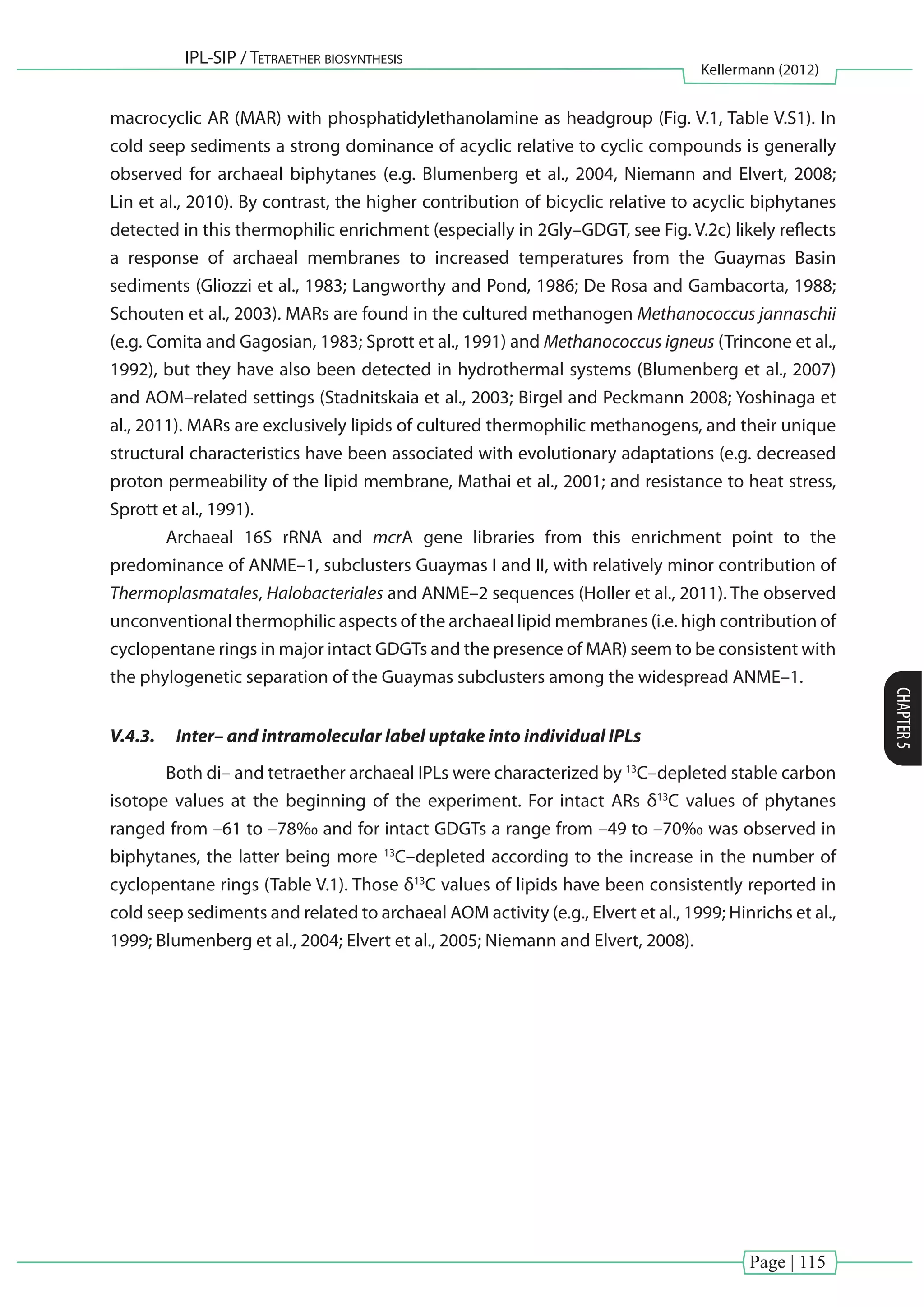 Page | 115
IPL-SIP / Tetraether biosynthesis
Kellermann (2012)
CHAPTER5
macrocyclic AR (MAR) with phosphatidylethanolamine as headgroup (Fig. V.1, Table V.S1). In
cold seep sediments a strong dominance of acyclic relative to cyclic compounds is generally
observed for archaeal biphytanes (e.g. Blumenberg et al., 2004, Niemann and Elvert, 2008;
Lin et al., 2010). By contrast, the higher contribution of bicyclic relative to acyclic biphytanes
detected in this thermophilic enrichment (especially in 2Gly–GDGT, see Fig. V.2c) likely reflects
a response of archaeal membranes to increased temperatures from the Guaymas Basin
sediments (Gliozzi et al., 1983; Langworthy and Pond, 1986; De Rosa and Gambacorta, 1988;
Schouten et al., 2003). MARs are found in the cultured methanogen Methanococcus jannaschii
(e.g. Comita and Gagosian, 1983; Sprott et al., 1991) and Methanococcus igneus (Trincone et al.,
1992), but they have also been detected in hydrothermal systems (Blumenberg et al., 2007)
and AOM–related settings (Stadnitskaia et al., 2003; Birgel and Peckmann 2008; Yoshinaga et
al., 2011). MARs are exclusively lipids of cultured thermophilic methanogens, and their unique
structural characteristics have been associated with evolutionary adaptations (e.g. decreased
proton permeability of the lipid membrane, Mathai et al., 2001; and resistance to heat stress,
Sprott et al., 1991).
	 Archaeal 16S rRNA and mcrA gene libraries from this enrichment point to the
predominance of ANME–1, subclusters Guaymas I and II, with relatively minor contribution of
Thermoplasmatales, Halobacteriales and ANME–2 sequences (Holler et al., 2011). The observed
unconventional thermophilic aspects of the archaeal lipid membranes (i.e. high contribution of
cyclopentane rings in major intact GDGTs and the presence of MAR) seem to be consistent with
the phylogenetic separation of the Guaymas subclusters among the widespread ANME–1.
V.4.3.	 Inter– and intramolecular label uptake into individual IPLs
	 Both di– and tetraether archaeal IPLs were characterized by 13
C–depleted stable carbon
isotope values at the beginning of the experiment. For intact ARs δ13
C values of phytanes
ranged from –61 to –78‰ and for intact GDGTs a range from –49 to –70‰ was observed in
biphytanes, the latter being more 13
C–depleted according to the increase in the number of
cyclopentane rings (Table V.1). Those δ13
C values of lipids have been consistently reported in
cold seep sediments and related to archaeal AOM activity (e.g., Elvert et al., 1999; Hinrichs et al.,
1999; Blumenberg et al., 2004; Elvert et al., 2005; Niemann and Elvert, 2008).
 