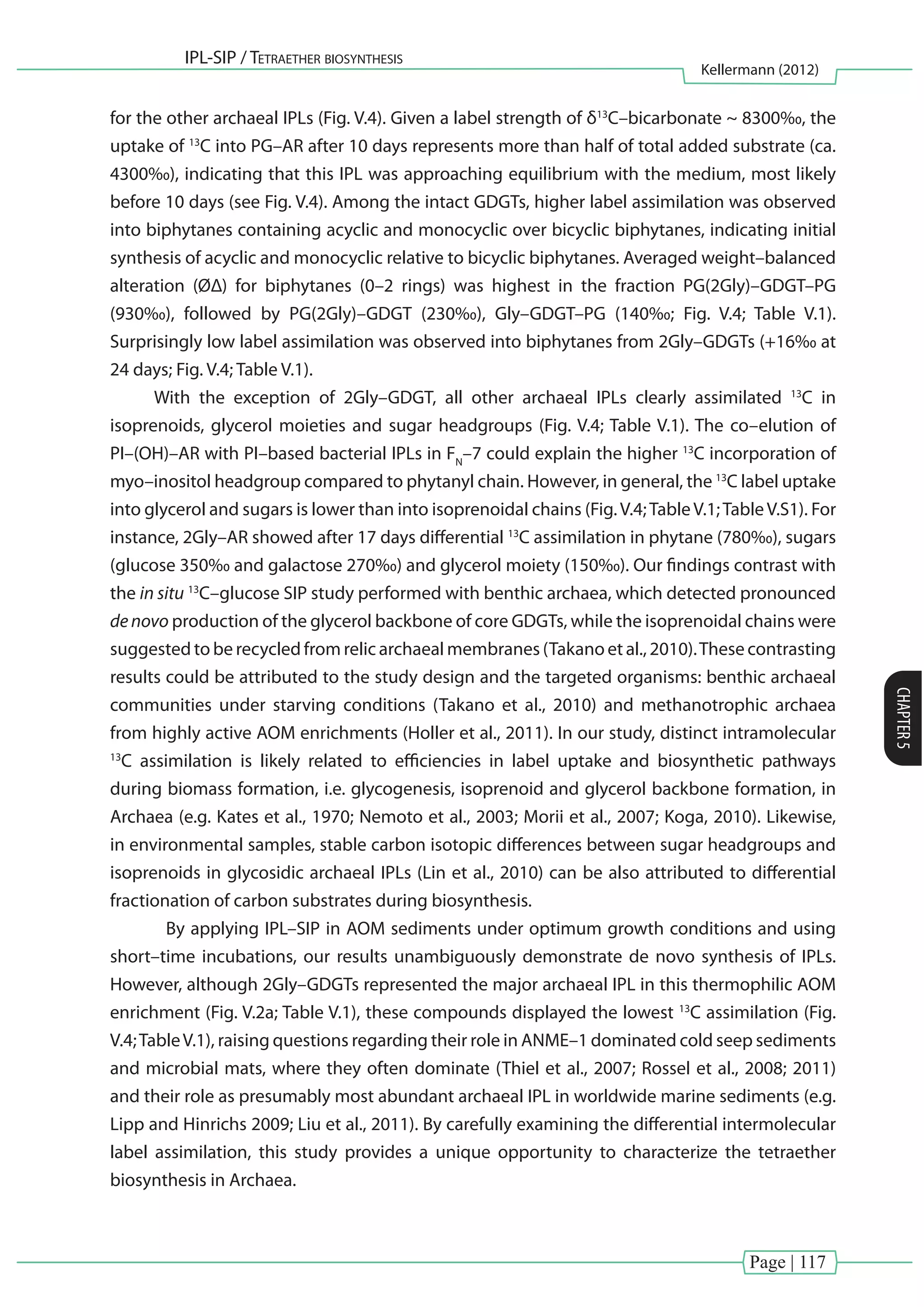 Page | 117
IPL-SIP / Tetraether biosynthesis
Kellermann (2012)
CHAPTER5
for the other archaeal IPLs (Fig. V.4). Given a label strength of δ13
C–bicarbonate ~ 8300‰, the
uptake of 13
C into PG–AR after 10 days represents more than half of total added substrate (ca.
4300‰), indicating that this IPL was approaching equilibrium with the medium, most likely
before 10 days (see Fig. V.4). Among the intact GDGTs, higher label assimilation was observed
into biphytanes containing acyclic and monocyclic over bicyclic biphytanes, indicating initial
synthesis of acyclic and monocyclic relative to bicyclic biphytanes. Averaged weight–balanced
alteration (ØΔ) for biphytanes (0–2 rings) was highest in the fraction PG(2Gly)–GDGT–PG
(930‰), followed by PG(2Gly)–GDGT (230‰), Gly–GDGT–PG (140‰; Fig. V.4; Table V.1).
Surprisingly low label assimilation was observed into biphytanes from 2Gly–GDGTs (+16‰ at
24 days; Fig. V.4; Table V.1).
With the exception of 2Gly–GDGT, all other archaeal IPLs clearly assimilated 13
C in
isoprenoids, glycerol moieties and sugar headgroups (Fig. V.4; Table V.1). The co–elution of
PI–(OH)–AR with PI–based bacterial IPLs in FN
–7 could explain the higher 13
C incorporation of
myo–inositol headgroup compared to phytanyl chain. However, in general, the 13
C label uptake
into glycerol and sugars is lower than into isoprenoidal chains (Fig.V.4;TableV.1;TableV.S1). For
instance, 2Gly–AR showed after 17 days differential 13
C assimilation in phytane (780‰), sugars
(glucose 350‰ and galactose 270‰) and glycerol moiety (150‰). Our findings contrast with
the in situ 13
C–glucose SIP study performed with benthic archaea, which detected pronounced
denovo production of the glycerol backbone of core GDGTs, while the isoprenoidal chains were
suggested to be recycled from relic archaeal membranes (Takano et al., 2010).These contrasting
results could be attributed to the study design and the targeted organisms: benthic archaeal
communities under starving conditions (Takano et al., 2010) and methanotrophic archaea
from highly active AOM enrichments (Holler et al., 2011). In our study, distinct intramolecular
13
C assimilation is likely related to efficiencies in label uptake and biosynthetic pathways
during biomass formation, i.e. glycogenesis, isoprenoid and glycerol backbone formation, in
Archaea (e.g. Kates et al., 1970; Nemoto et al., 2003; Morii et al., 2007; Koga, 2010). Likewise,
in environmental samples, stable carbon isotopic differences between sugar headgroups and
isoprenoids in glycosidic archaeal IPLs (Lin et al., 2010) can be also attributed to differential
fractionation of carbon substrates during biosynthesis.
	 By applying IPL–SIP in AOM sediments under optimum growth conditions and using
short–time incubations, our results unambiguously demonstrate de novo synthesis of IPLs.
However, although 2Gly–GDGTs represented the major archaeal IPL in this thermophilic AOM
enrichment (Fig. V.2a; Table V.1), these compounds displayed the lowest 13
C assimilation (Fig.
V.4;TableV.1), raising questions regarding their role in ANME–1 dominated cold seep sediments
and microbial mats, where they often dominate (Thiel et al., 2007; Rossel et al., 2008; 2011)
and their role as presumably most abundant archaeal IPL in worldwide marine sediments (e.g.
Lipp and Hinrichs 2009; Liu et al., 2011). By carefully examining the differential intermolecular
label assimilation, this study provides a unique opportunity to characterize the tetraether
biosynthesis in Archaea.
 