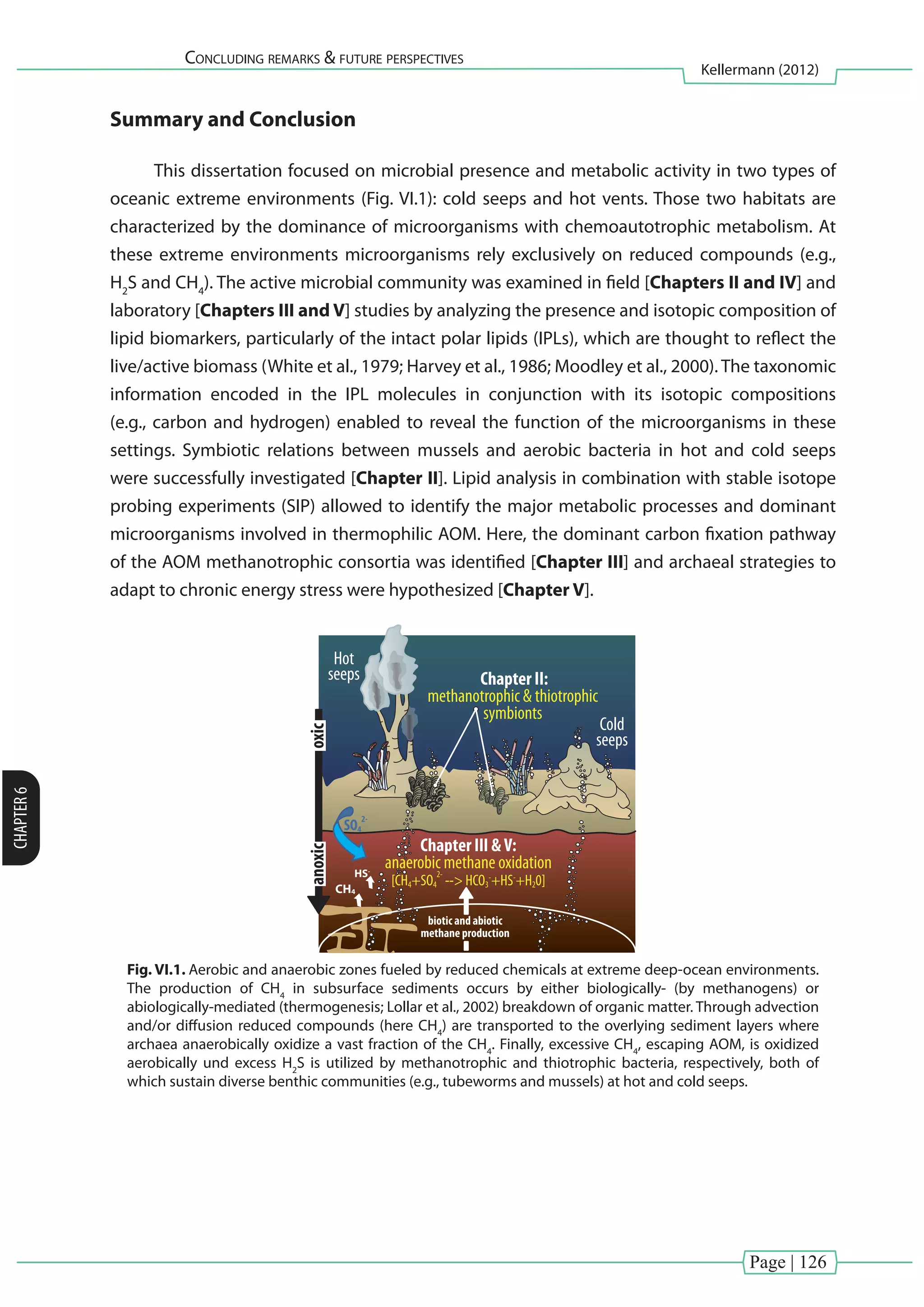 Page | 126
Concluding remarks & future perspectives
Kellermann (2012)
CHAPTER6
Summary and Conclusion
This dissertation focused on microbial presence and metabolic activity in two types of
oceanic extreme environments (Fig. VI.1): cold seeps and hot vents. Those two habitats are
characterized by the dominance of microorganisms with chemoautotrophic metabolism. At
these extreme environments microorganisms rely exclusively on reduced compounds (e.g.,
H2
S and CH4
). The active microbial community was examined in field [Chapters II and IV] and
laboratory [Chapters III and V] studies by analyzing the presence and isotopic composition of
lipid biomarkers, particularly of the intact polar lipids (IPLs), which are thought to reflect the
live/active biomass (White et al., 1979; Harvey et al., 1986; Moodley et al., 2000). The taxonomic
information encoded in the IPL molecules in conjunction with its isotopic compositions
(e.g., carbon and hydrogen) enabled to reveal the function of the microorganisms in these
settings. Symbiotic relations between mussels and aerobic bacteria in hot and cold seeps
were successfully investigated [Chapter II]. Lipid analysis in combination with stable isotope
probing experiments (SIP) allowed to identify the major metabolic processes and dominant
microorganisms involved in thermophilic AOM. Here, the dominant carbon fixation pathway
of the AOM methanotrophic consortia was identified [Chapter III] and archaeal strategies to
adapt to chronic energy stress were hypothesized [Chapter V].
Cold
seeps
Hot
seeps Chapter II:
methanotrophic & thiotrophic
symbionts
Chapter III &V:
anaerobic methane oxidation
[CH4+SO4
2-
--> HCO3
-
+HS-
+H20]
SO4
2-
biotic and abiotic
methane production
oxicanoxic
HS-
CH4
Fig. VI.1. Aerobic and anaerobic zones fueled by reduced chemicals at extreme deep-ocean environments.
The production of CH4
in subsurface sediments occurs by either biologically- (by methanogens) or
abiologically-mediated (thermogenesis; Lollar et al., 2002) breakdown of organic matter. Through advection
and/or diffusion reduced compounds (here CH4
) are transported to the overlying sediment layers where
archaea anaerobically oxidize a vast fraction of the CH4
. Finally, excessive CH4
, escaping AOM, is oxidized
aerobically und excess H2
S is utilized by methanotrophic and thiotrophic bacteria, respectively, both of
which sustain diverse benthic communities (e.g., tubeworms and mussels) at hot and cold seeps.
 