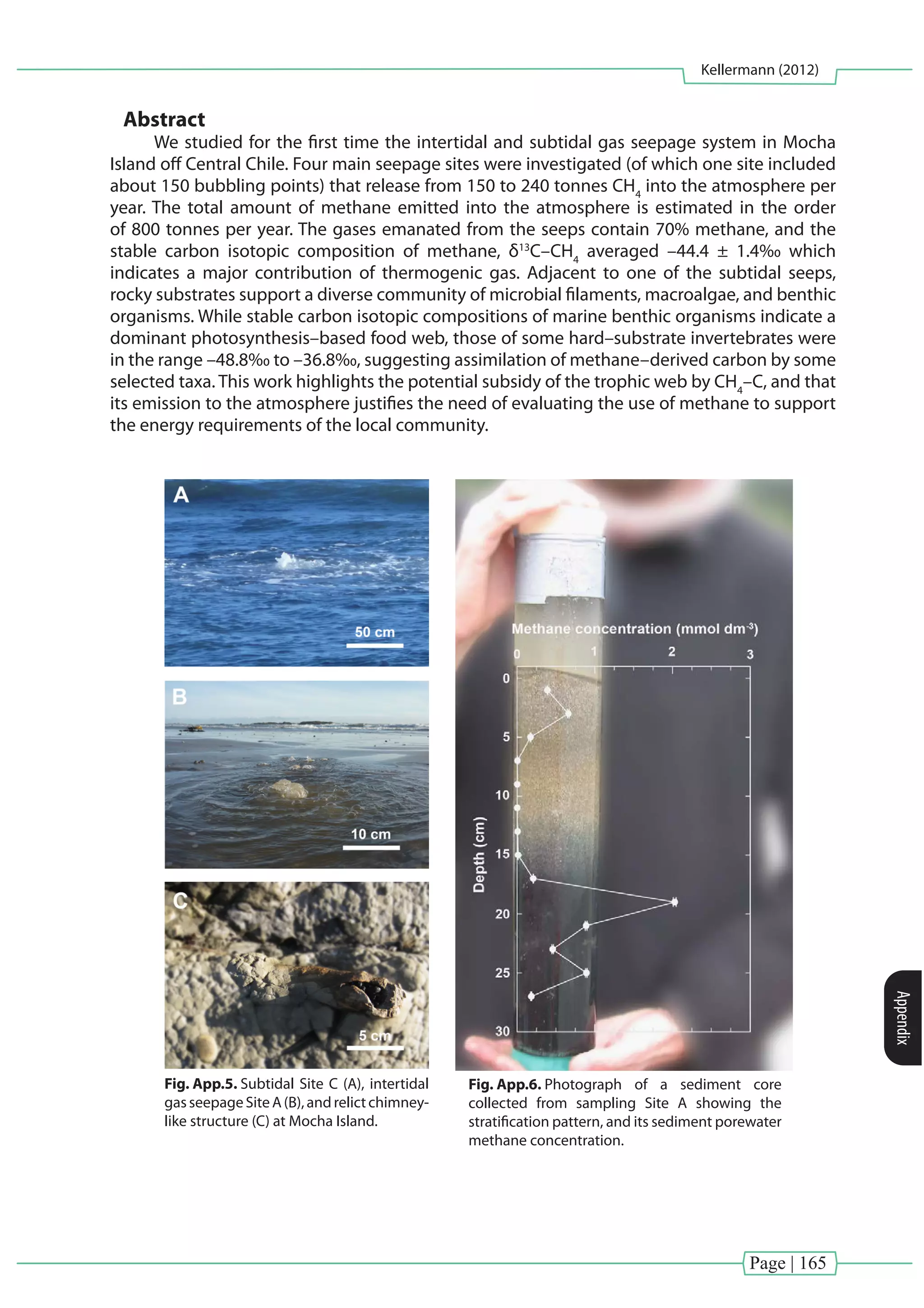 Page | 165
Kellermann (2012)
Appendix
Abstract
We studied for the first time the intertidal and subtidal gas seepage system in Mocha
Island off Central Chile. Four main seepage sites were investigated (of which one site included
about 150 bubbling points) that release from 150 to 240 tonnes CH4
into the atmosphere per
year. The total amount of methane emitted into the atmosphere is estimated in the order
of 800 tonnes per year. The gases emanated from the seeps contain 70% methane, and the
stable carbon isotopic composition of methane, δ13
C–CH4
averaged –44.4 ± 1.4‰ which
indicates a major contribution of thermogenic gas. Adjacent to one of the subtidal seeps,
rocky substrates support a diverse community of microbial filaments, macroalgae, and benthic
organisms. While stable carbon isotopic compositions of marine benthic organisms indicate a
dominant photosynthesis–based food web, those of some hard–substrate invertebrates were
in the range –48.8‰ to –36.8‰, suggesting assimilation of methane–derived carbon by some
selected taxa. This work highlights the potential subsidy of the trophic web by CH4
–C, and that
its emission to the atmosphere justifies the need of evaluating the use of methane to support
the energy requirements of the local community.
structural conditions, this coal-bed methane may seep to the surface.
In the present paper, we report the ﬁrst studies on the extent of
local methane emissions and the potential inﬂuence of methane on
the biology of intertidal and shallow subtidal organisms. Flux
variability and the potential transfer of methane through the food
web surrounding gas seepages are particularly addressed.
2. Site description
Mocha Island (381200
S, 731550
W) is located in the western
margin of Central–South Chile at about 35 km from the coast. The
island comprises an area of 52 km2
with a length of ca. 15 km and
an average width of 6 km. The geomorphology of the island is
characterized by a central mountain range (covered with native
forest) parallel to the coast that reaches up to 390 m high, which
is composed of Pliocene marine sequences with Pleistocene
terraces. The mountainous range is surrounded by meadows that
are characterized by a narrow coastal fringe composed of Miocene
and Holocene sequences (Fig. 1).
The island is located at the western margin on the continental
shelf, at ca. 50 km from the tectonic trench that characterizes the
convergence of the Nazca and South American plates. On the
western side of the island there is a series of small islands such as
Quechol, Las Docas, Del Muerto, and Blanca Islands. In particular,
marine Eocene sediments are well exposed in both Del Muerto
and Las Docas Islands (Fig. 1) (Tavera and Veyl, 1958; Nelson and
Manley, 1992; Sa´nchez 2004).
and larger rocks. The intertidal Site A (Fig. 2B) is located on a
sandy beach and contained 150 seeping spots.
Site A was intertidal and located on a sandy beach, whereas Sites
B, C, D, E, F, G, H, and I were rocky subtidal sites. Only Sites A, C, E,
and I were seeps and gas emanation was visible at the surface. Site I
was located ca. 50 m to the north of Del Muerto Island (Fig. 1).
3.2. Sampling
At subtidal Sites C, E, and I, surface water samples were collected
by SCUBA diving above the emanation, and using a carboy in Sites
B, D, F, G, and H. At Site I, additional samples were collected just
above the methane bubbling at 5 m depth. Water samples were
collected in serum bottles, ﬁlled, and sealed underwater.
The intertidal Site A (Fig. 2B) is located on a sandy beach with
multiple seeping spots. Overlying water was collected directly on
the seep, and a sediment core of 30 cm long, 70 mm in diameter
was collected by hand. To avoid contamination and facilitate the
seal maneuver, the sand that surrounded the core was removed
with a shovel and immediately sealed with rubber stoppers at
both ends (Fig. 3).
3.3. Assessment of methane concentration in seawater, gas bubbles,
and sediments
Duplicate water samples for gas analyses were immediately
sealed with butyl rubber stoppers in 60 mL serum bottles after
Fig. 2. Subtidal Site C (A), intertidal gas seepage Site A (B), and relict chimney-like structure (C) at Mocha Island.
continental shelf limited in the northwest
iment-ﬁlled basins (Nelson and Manley, 1992).
m to be related to subsurface thermogenic hydro-
ons probably trapped within the Cretaceous rock
n Nacional de Energı´a, 2002; Sa´nchez, 2004). The
nd consequent faulting in the Mocha Island area –
Paleocene – could explain this methane seepage.
ource is coal-bed methane, because part of the
m in this area is formed by coal-bearing sediments
n in the Arauco Basin). The respective formation
methane (Mordojovich, 1981), and given proper
ns, this coal-bed methane may seep to the surface.
aper, we report the ﬁrst studies on the extent of
ssions and the potential inﬂuence of methane on
tertidal and shallow subtidal organisms. Flux
potential transfer of methane through the food
as seepages are particularly addressed.
n
(381200
S, 731550
W) is located in the western
–South Chile at about 35 km from the coast. The
n area of 52 km2
with a length of ca. 15 km and
of 6 km. The geomorphology of the island is
a central mountain range (covered with native
the coast that reaches up to 390 m high, which
Pliocene marine sequences with Pleistocene
ntainous range is surrounded by meadows that
by a narrow coastal fringe composed of Miocene
uences (Fig. 1).
cated at the western margin on the continental
from the tectonic trench that characterizes the
he Nazca and South American plates. On the
e island there is a series of small islands such as
s, Del Muerto, and Blanca Islands. In particular,
diments are well exposed in both Del Muerto
nds (Fig. 1) (Tavera and Veyl, 1958; Nelson and
nchez 2004).
3. Methods
3.1. Sampling sites
The study was conducted during four campaigns at the
seepage sites in Mocha Island (Fig. 1) off central Chile (381200
S;
731550
W) in September 2008, and April, June, and November
2009. Subtidal Sites C (Fig. 2A) and E were 1 m deep, whereas Site
I was 5 m deep during low tide. Hard substrate and coarse
sediments, formed mainly by shell fragments, prevail at these
sites, and methane bubbled out through spaces within boulders
and larger rocks. The intertidal Site A (Fig. 2B) is located on a
sandy beach and contained 150 seeping spots.
Site A was intertidal and located on a sandy beach, whereas Sites
B, C, D, E, F, G, H, and I were rocky subtidal sites. Only Sites A, C, E,
and I were seeps and gas emanation was visible at the surface. Site I
was located ca. 50 m to the north of Del Muerto Island (Fig. 1).
3.2. Sampling
At subtidal Sites C, E, and I, surface water samples were collected
by SCUBA diving above the emanation, and using a carboy in Sites
B, D, F, G, and H. At Site I, additional samples were collected just
above the methane bubbling at 5 m depth. Water samples were
collected in serum bottles, ﬁlled, and sealed underwater.
The intertidal Site A (Fig. 2B) is located on a sandy beach with
multiple seeping spots. Overlying water was collected directly on
the seep, and a sediment core of 30 cm long, 70 mm in diameter
was collected by hand. To avoid contamination and facilitate the
seal maneuver, the sand that surrounded the core was removed
with a shovel and immediately sealed with rubber stoppers at
both ends (Fig. 3).
3.3. Assessment of methane concentration in seawater, gas bubbles,
and sediments
Duplicate water samples for gas analyses were immediately
sealed with butyl rubber stoppers in 60 mL serum bottles after
Fig. 2. Subtidal Site C (A), intertidal gas seepage Site A (B), and relict chimney-like structure (C) at Mocha Island.
mited in the northwest
elson and Manley, 1992).
urface thermogenic hydro-
within the Cretaceous rock
2002; Sa´nchez, 2004). The
in the Mocha Island area –
lain this methane seepage.
hane, because part of the
by coal-bearing sediments
The respective formation
h, 1981), and given proper
ne may seep to the surface.
st studies on the extent of
l inﬂuence of methane on
subtidal organisms. Flux
methane through the food
larly addressed.
located in the western
35 km from the coast. The
a length of ca. 15 km and
rphology of the island is
nge (covered with native
up to 390 m high, which
uences with Pleistocene
ounded by meadows that
nge composed of Miocene
margin on the continental
nch that characterizes the
American plates. On the
s of small islands such as
nca Islands. In particular,
osed in both Del Muerto
d Veyl, 1958; Nelson and
3. Methods
3.1. Sampling sites
The study was conducted during four campaigns at the
seepage sites in Mocha Island (Fig. 1) off central Chile (381200
S;
731550
W) in September 2008, and April, June, and November
2009. Subtidal Sites C (Fig. 2A) and E were 1 m deep, whereas Site
I was 5 m deep during low tide. Hard substrate and coarse
sediments, formed mainly by shell fragments, prevail at these
sites, and methane bubbled out through spaces within boulders
and larger rocks. The intertidal Site A (Fig. 2B) is located on a
sandy beach and contained 150 seeping spots.
Site A was intertidal and located on a sandy beach, whereas Sites
B, C, D, E, F, G, H, and I were rocky subtidal sites. Only Sites A, C, E,
and I were seeps and gas emanation was visible at the surface. Site I
was located ca. 50 m to the north of Del Muerto Island (Fig. 1).
3.2. Sampling
At subtidal Sites C, E, and I, surface water samples were collected
by SCUBA diving above the emanation, and using a carboy in Sites
B, D, F, G, and H. At Site I, additional samples were collected just
above the methane bubbling at 5 m depth. Water samples were
collected in serum bottles, ﬁlled, and sealed underwater.
The intertidal Site A (Fig. 2B) is located on a sandy beach with
multiple seeping spots. Overlying water was collected directly on
the seep, and a sediment core of 30 cm long, 70 mm in diameter
was collected by hand. To avoid contamination and facilitate the
seal maneuver, the sand that surrounded the core was removed
with a shovel and immediately sealed with rubber stoppers at
both ends (Fig. 3).
3.3. Assessment of methane concentration in seawater, gas bubbles,
and sediments
Duplicate water samples for gas analyses were immediately
sealed with butyl rubber stoppers in 60 mL serum bottles after
(A), intertidal gas seepage Site A (B), and relict chimney-like structure (C) at Mocha Island.Fig. App.5. Subtidal Site C (A), intertidal
gasseepageSiteA(B),andrelictchimney-
like structure (C) at Mocha Island.
Author's personal copy
collection and poisoned with NaOH (0.5 N ﬁnal concentration)
until laboratory analysis (within one week after sampling). Part of
the water in each vial was replaced with N2 (499.999%) to
generate a gas headspace and bottles were vigorously shaken for
at least 5 min, and then at 120 rpm for 1 h (Kampbell and
Vandegrift, 1998). Methane was determined on a gas chromato-
graph equipped with a ﬂame ionization detector (Agilent Tech-
nologies, GC 6890N) and a 30 m HP Plot-Q column. The
concentration was calculated using the Bunsen solubility coefﬁ-
cient at 21 1C (Yamamoto et al., 1976). Precision of the analyses
for our samples was 71% (the average of three samples collected
for each determination), and the detection limit was 0.05 ppm.
The internal volume
and recorded before
rubber septum. Each
and then left to stand
order to transfer mo
the head space (K
methane concentrati
gas concentration us
and whole sediment
the vial headspace
pressure at the time
constant, the temper
porosity.
Gas samples from
funnel connected to
atmospheric air. Th
water by bubbling g
(Dando et al., 1994;
transferred via syrin
bottles preﬁlled with
the gas was introdu
through a second nee
the incubation conta
4 1C. Additional samp
carbon stable isotop
in a similar way.
3.4. Measurement of
Gas ﬂuxes were
during the sampling
and were estimated u
(Alnor Instruments, U
an inverted plastic fu
device was calibrated
The total gas emission
to Judd et al. (2002). F
at site A is 0.39 m3
h�
between 140 and 16
[0.39� 160] m3
h�1
,
average methane co
6.795� 10�4
metric t
A can be estimated
� 10�4
� 546,624]¼2
3.5. Carbon stable iso
Stable C isotopic c
sedimentary organic
matter, benthic mar
microbial material, a
Sediment sample
sample the top cen
with 1 N HCl to elim
was collected by sie
63 mm mesh to rem
and then ﬁltered on
Fig. 3. Photograph of a sediment core collected from sampling Site A showing the
stratiﬁcation pattern, and its sediment porewater methane concentration.
G.L. Jessen et al. / Continental Shelf Research 31 (2011) 574–5
Fig. App.6. Photograph of a sediment core
collected from sampling Site A showing the
stratification pattern, and its sediment porewater
methane concentration.
 