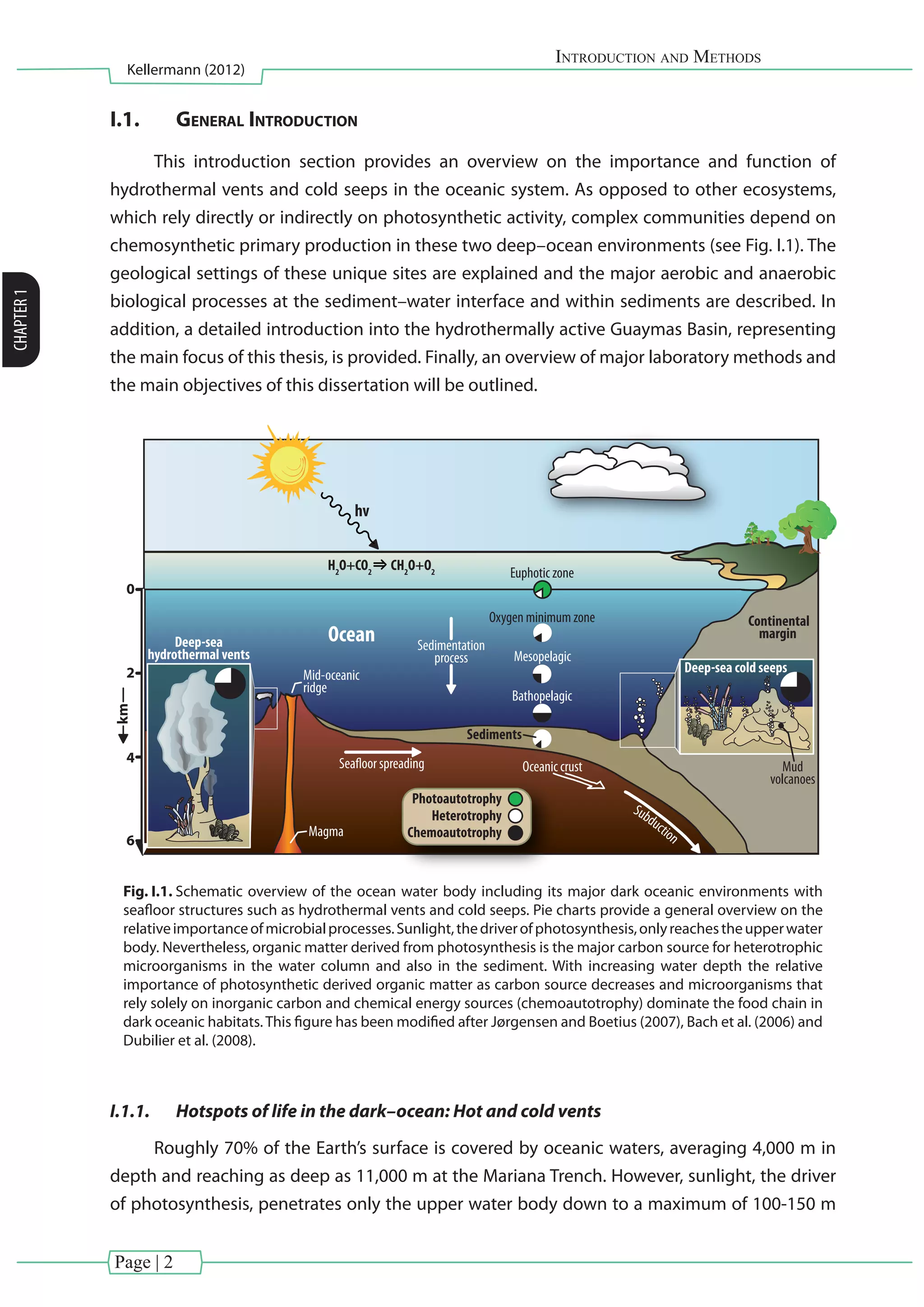 Page | 2
Introduction and Methods
Kellermann (2012)
CHAPTER1
I.1.	 General Introduction
This introduction section provides an overview on the importance and function of
hydrothermal vents and cold seeps in the oceanic system. As opposed to other ecosystems,
which rely directly or indirectly on photosynthetic activity, complex communities depend on
chemosynthetic primary production in these two deep–ocean environments (see Fig. I.1). The
geological settings of these unique sites are explained and the major aerobic and anaerobic
biological processes at the sediment–water interface and within sediments are described. In
addition, a detailed introduction into the hydrothermally active Guaymas Basin, representing
the main focus of this thesis, is provided. Finally, an overview of major laboratory methods and
the main objectives of this dissertation will be outlined.
Ocean
Sediments
Continental
margin
Seafloor spreading Oceanic crust
Magma
Mid-oceanic
ridge
Subduction
Sedimentation
process
Euphotic zone
hv
Oxygen minimum zone
Mesopelagic
Bathopelagic
Heterotrophy
Chemoautotrophy
Photoautotrophy
0
2
4
6
km
H2
O+CO2
CH2
O+O2
Mud
volcanoes
Deep-sea cold seeps
Deep-sea
hydrothermal vents
Fig. I.1. Schematic overview of the ocean water body including its major dark oceanic environments with
seafloor structures such as hydrothermal vents and cold seeps. Pie charts provide a general overview on the
relativeimportanceofmicrobialprocesses.Sunlight,thedriverofphotosynthesis,onlyreachestheupperwater
body. Nevertheless, organic matter derived from photosynthesis is the major carbon source for heterotrophic
microorganisms in the water column and also in the sediment. With increasing water depth the relative
importance of photosynthetic derived organic matter as carbon source decreases and microorganisms that
rely solely on inorganic carbon and chemical energy sources (chemoautotrophy) dominate the food chain in
dark oceanic habitats.This figure has been modified after Jørgensen and Boetius (2007), Bach et al. (2006) and
Dubilier et al. (2008).
I.1.1.	 Hotspots of life in the dark–ocean: Hot and cold vents
Roughly 70% of the Earth’s surface is covered by oceanic waters, averaging 4,000 m in
depth and reaching as deep as 11,000 m at the Mariana Trench. However, sunlight, the driver
of photosynthesis, penetrates only the upper water body down to a maximum of 100-150 m
 