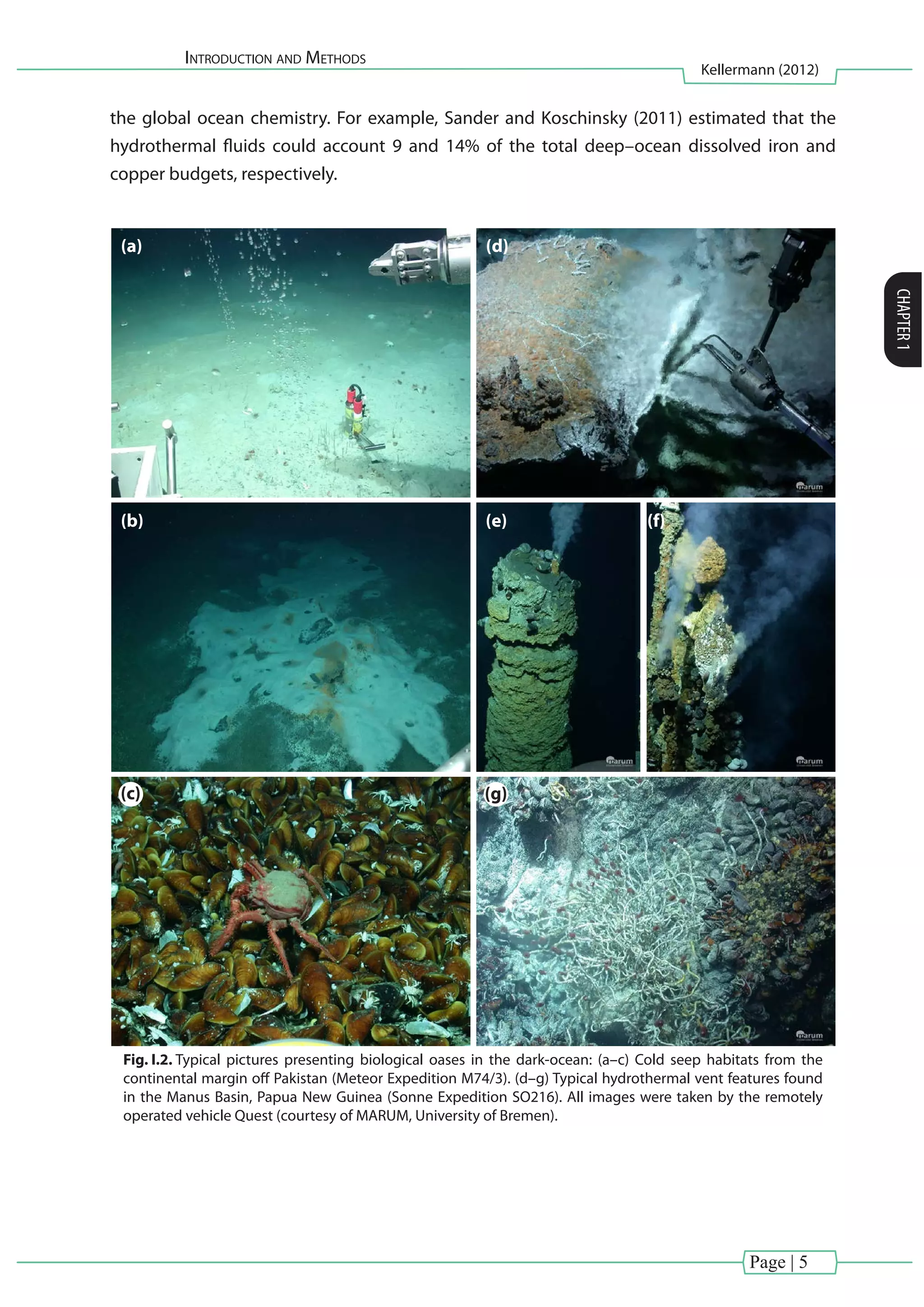 Introduction and Methods
Kellermann (2012)
CHAPTER1
Page | 5
the global ocean chemistry. For example, Sander and Koschinsky (2011) estimated that the
hydrothermal fluids could account 9 and 14% of the total deep–ocean dissolved iron and
copper budgets, respectively.
(a)
(b)
(c)
(d)
(e) (f)
(c) (g)
Fig. I.2. Typical pictures presenting biological oases in the dark-ocean: (a–c) Cold seep habitats from the
continental margin off Pakistan (Meteor Expedition M74/3). (d–g) Typical hydrothermal vent features found
in the Manus Basin, Papua New Guinea (Sonne Expedition SO216). All images were taken by the remotely
operated vehicle Quest (courtesy of MARUM, University of Bremen).
 