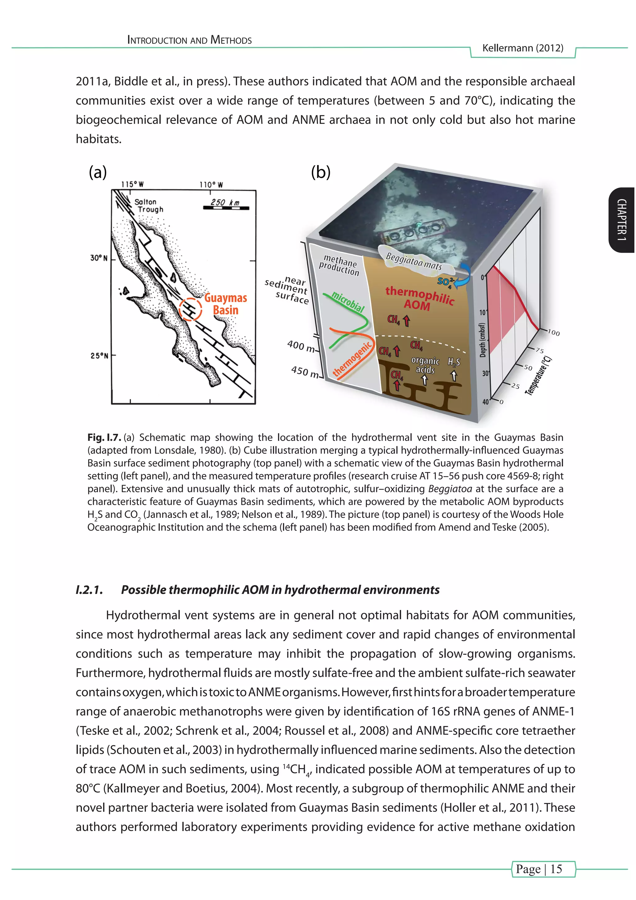 Introduction and Methods
Kellermann (2012)
CHAPTER1
Page | 15
2011a, Biddle et al., in press). These authors indicated that AOM and the responsible archaeal
communities exist over a wide range of temperatures (between 5 and 70°C), indicating the
biogeochemical relevance of AOM and ANME archaea in not only cold but also hot marine
habitats.
Guaymas
Basin
0
Temperature(°C)
25
50
75
100
400 m
sediment
450 m
0
10
Depth(cmbsf)
30
40
near
surface
CH4
CH4
CH4
H2Sorganic
acids
Beggiatoamats
thermophilicAOM
CH4
methaneproduction
microbial
thermogenic
SO4
2-
(a) (b)
Fig. I.7. (a) Schematic map showing the location of the hydrothermal vent site in the Guaymas Basin
(adapted from Lonsdale, 1980). (b) Cube illustration merging a typical hydrothermally-influenced Guaymas
Basin surface sediment photography (top panel) with a schematic view of the Guaymas Basin hydrothermal
setting (left panel), and the measured temperature profiles (research cruise AT 15–56 push core 4569-8; right
panel). Extensive and unusually thick mats of autotrophic, sulfur–oxidizing Beggiatoa at the surface are a
characteristic feature of Guaymas Basin sediments, which are powered by the metabolic AOM byproducts
H2
S and CO2
(Jannasch et al., 1989; Nelson et al., 1989). The picture (top panel) is courtesy of the Woods Hole
Oceanographic Institution and the schema (left panel) has been modified from Amend and Teske (2005).
I.2.1.	 Possible thermophilic AOM in hydrothermal environments
Hydrothermal vent systems are in general not optimal habitats for AOM communities,
since most hydrothermal areas lack any sediment cover and rapid changes of environmental
conditions such as temperature may inhibit the propagation of slow-growing organisms.
Furthermore, hydrothermal fluids are mostly sulfate-free and the ambient sulfate-rich seawater
containsoxygen,whichistoxictoANMEorganisms.However,firsthintsforabroadertemperature
range of anaerobic methanotrophs were given by identification of 16S rRNA genes of ANME-1
(Teske et al., 2002; Schrenk et al., 2004; Roussel et al., 2008) and ANME-specific core tetraether
lipids (Schouten et al., 2003) in hydrothermally influenced marine sediments. Also the detection
of trace AOM in such sediments, using 14
CH4
, indicated possible AOM at temperatures of up to
80°C (Kallmeyer and Boetius, 2004). Most recently, a subgroup of thermophilic ANME and their
novel partner bacteria were isolated from Guaymas Basin sediments (Holler et al., 2011). These
authors performed laboratory experiments providing evidence for active methane oxidation
 