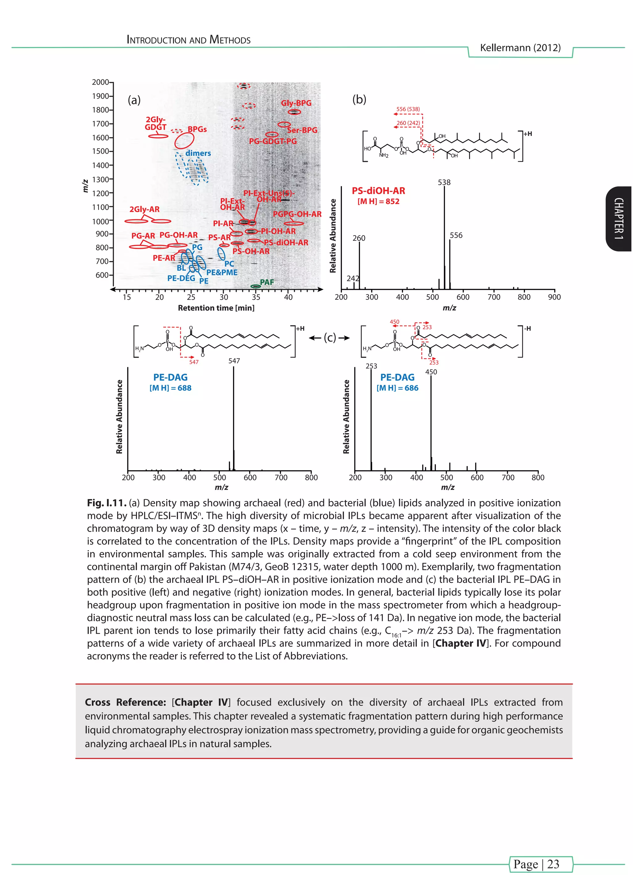Introduction and Methods
Kellermann (2012)
CHAPTER1
Page | 23
2000
1900
1800
1700
1600
1500
1400
1300
1200
1100
1000
900
800
700
600
15 20 25 30 35 40
Retention time [min]
m/z
2Gly-
GDGT BPGs
2Gly-AR
PG-AR
PGPG-OH-AR
PG-OH-AR
PE-AR
PS-AR
PAF
PS-OH-AR
PS-diOH-AR
PI-OH-AR
PG-GDGT-PG
Gly-BPG
Ser-BPG
PI-Ext-
OH-AR
PI-AR
PI-Ext-Uns(5)-
OH-AR
BL
PE-DEG PE
PE&PME
PC
PG
dimers
PS-diOH-AR
[M H] = 852
PE-DAG
[M H] = 688
538
547
253
450
556260
242
RelativeAbundance
O
O
O
P
O
O
OHNH2
HO
O OH
OH
556 (538)
260 (242)
+H
200 300 400 500 600 700
m/z
800 900
(a)
(c)
(b)
RelativeAbundance
200 300 400 500 600 700 800
m/z
PE-DAG
[M H] = 686
RelativeAbundance
200 300 400 500 600 700 800
m/z
450
253
253
547
+H -H
O O
O
O
O
P
O
OH
O
H2
N
O O
O
O
O
P
O
OH
O
H2
N
Fig. I.11. (a) Density map showing archaeal (red) and bacterial (blue) lipids analyzed in positive ionization
mode by HPLC/ESI–ITMSn
. The high diversity of microbial IPLs became apparent after visualization of the
chromatogram by way of 3D density maps (x – time, y – m/z, z – intensity). The intensity of the color black
is correlated to the concentration of the IPLs. Density maps provide a “fingerprint” of the IPL composition
in environmental samples. This sample was originally extracted from a cold seep environment from the
continental margin off Pakistan (M74/3, GeoB 12315, water depth 1000 m). Exemplarily, two fragmentation
pattern of (b) the archaeal IPL PS–diOH–AR in positive ionization mode and (c) the bacterial IPL PE–DAG in
both positive (left) and negative (right) ionization modes. In general, bacterial lipids typically lose its polar
headgroup upon fragmentation in positive ion mode in the mass spectrometer from which a headgroup-
diagnostic neutral mass loss can be calculated (e.g., PE–>loss of 141 Da). In negative ion mode, the bacterial
IPL parent ion tends to lose primarily their fatty acid chains (e.g., C16:1
–> m/z 253 Da). The fragmentation
patterns of a wide variety of archaeal IPLs are summarized in more detail in [Chapter IV]. For compound
acronyms the reader is referred to the List of Abbreviations.
Cross Reference: [Chapter IV] focused exclusively on the diversity of archaeal IPLs extracted from
environmental samples. This chapter revealed a systematic fragmentation pattern during high performance
liquid chromatography electrospray ionization mass spectrometry, providing a guide for organic geochemists
analyzing archaeal IPLs in natural samples.
 
